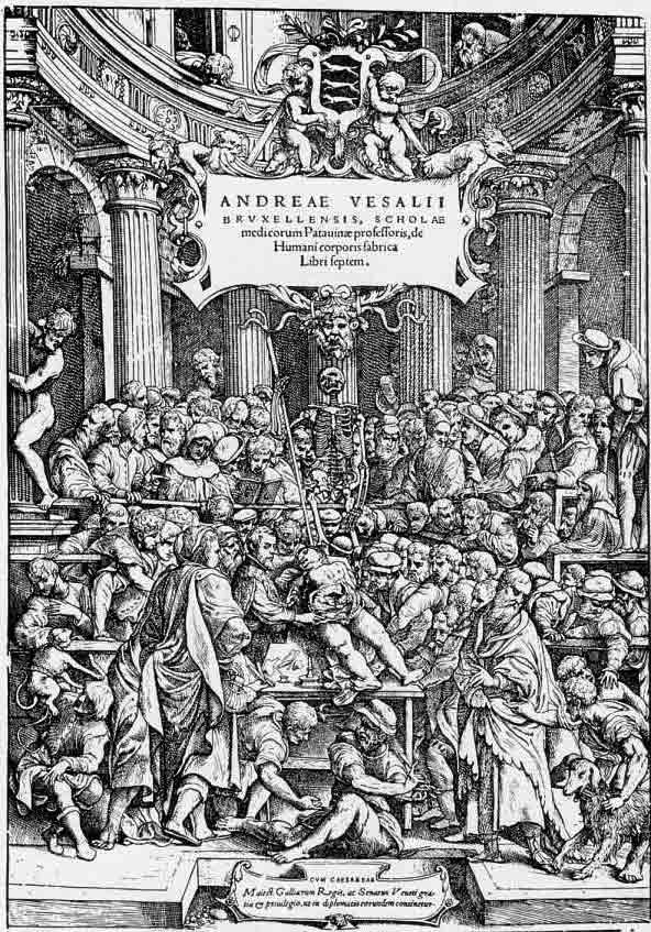 Andreae Vesaliusの解剖医学書ファブリカの表紙