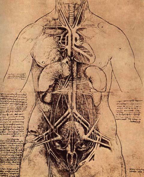 レオナルド・ダ・ビンチ人体解剖図