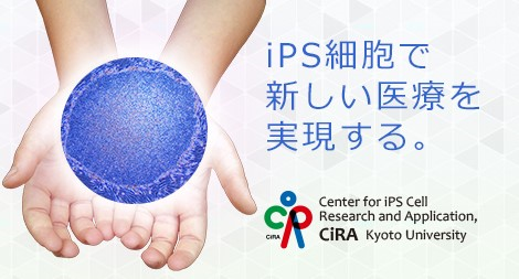 CiRA（京都大学 iPS細胞研究所）