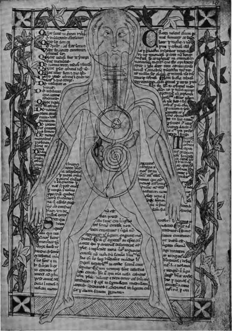 中世の解剖学図