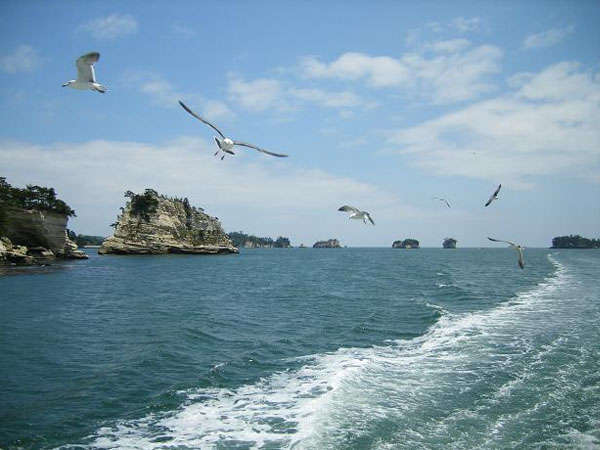 松島湾の島々とカモメ